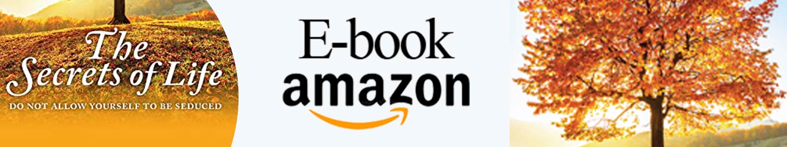 Buy the e-book on Amazon